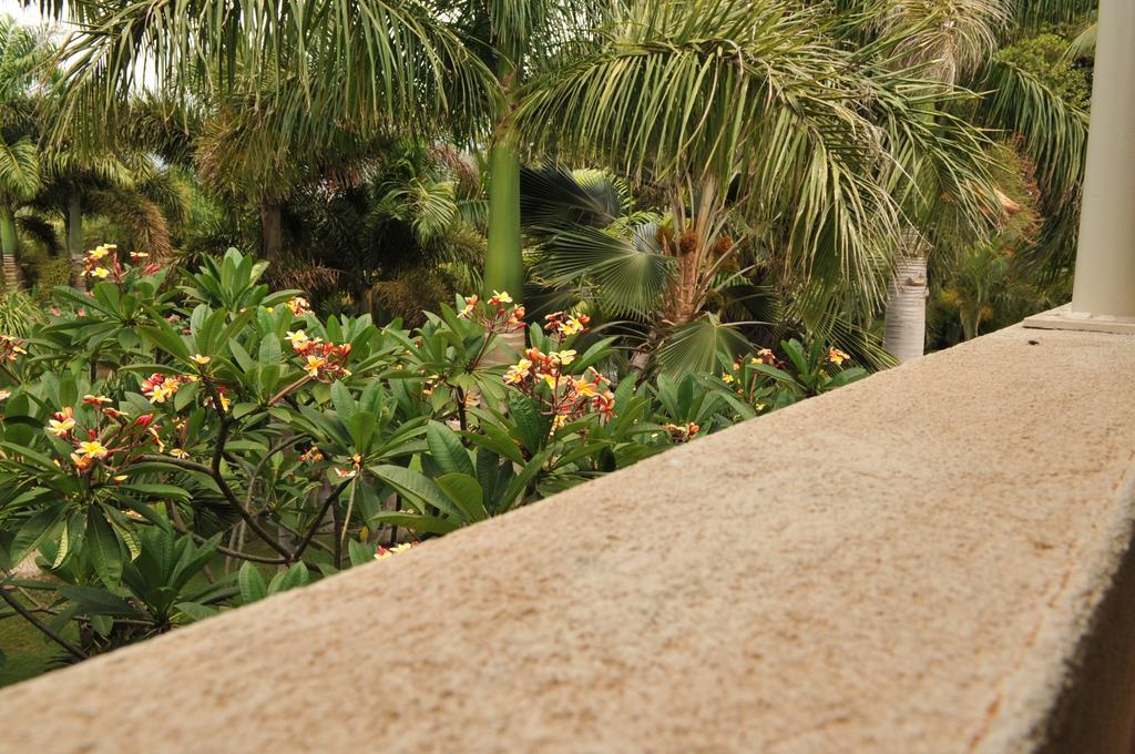 Aloha Aku Inn & Suites Kihei Room photo
